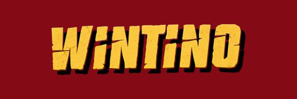 Wintino Casino, offerta fornita e caratteristiche